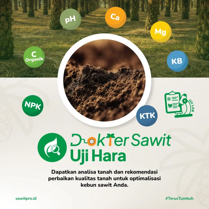 Dokter Sawit Uji Tanah (Fisik dan Kimia Lengkap) + Rekomendasi Perbaikan Kualitas Tanah