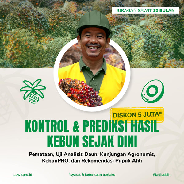 Juragan Sawit
