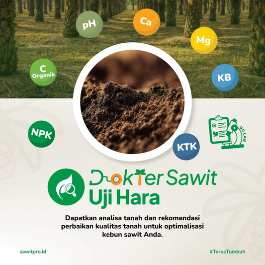 Dokter Sawit Uji Tanah (Fisik dan Kimia Lengkap) + Rekomendasi Perbaikan Kualitas Tanah