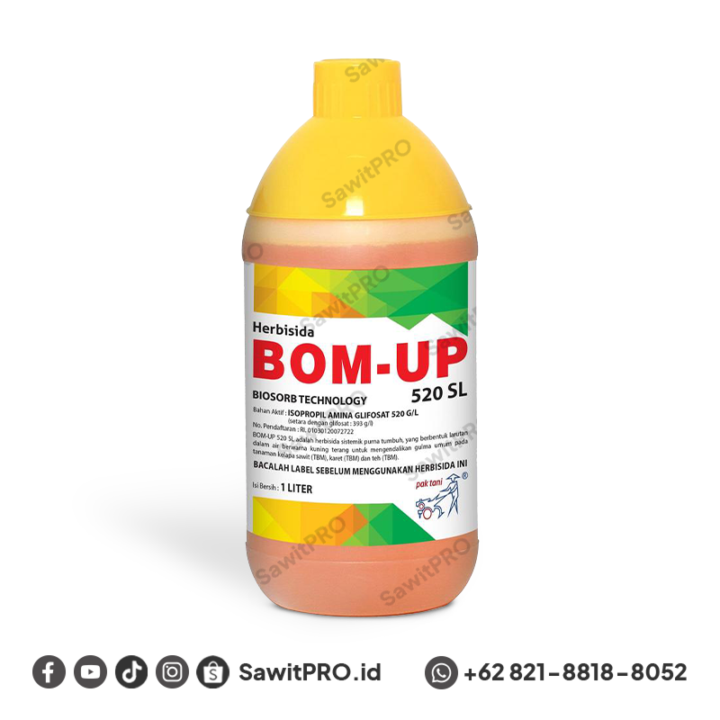 Bom Up 520 SL - 1 Liter