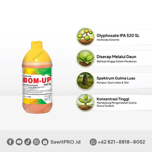Bom Up 520 SL - 1 Liter