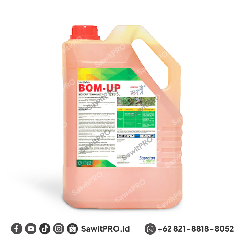 Bom Up 520 SL - 5 Liter