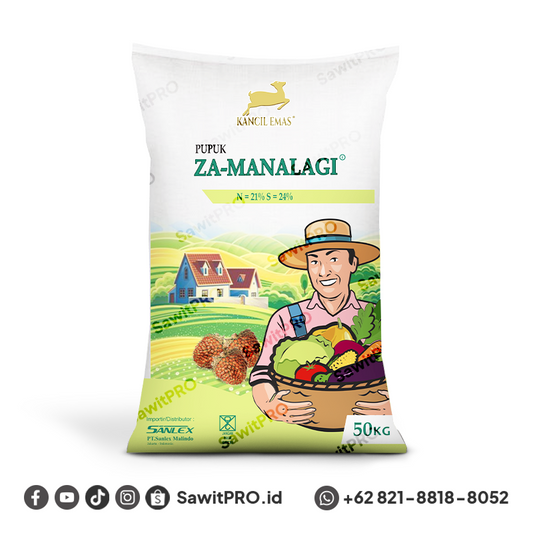 ZA Kancil Manalagi 50kg