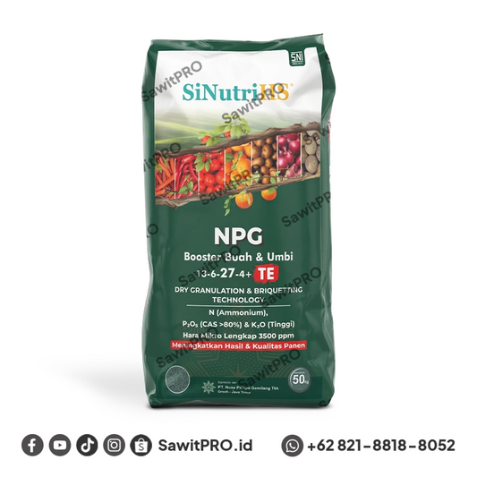 NPK SiNutriHS 13-6-27-4 0.65 B 50kg