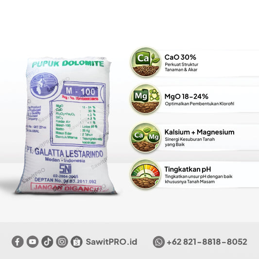 Dolomite M-100 50kg