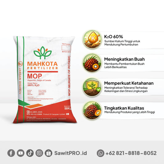 MOP/KCL Canada Cap Mahkota 50kg (Khusus Petani)
