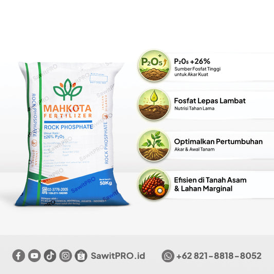 RP Mahkota 50kg - Egypt (Khusus Petani)