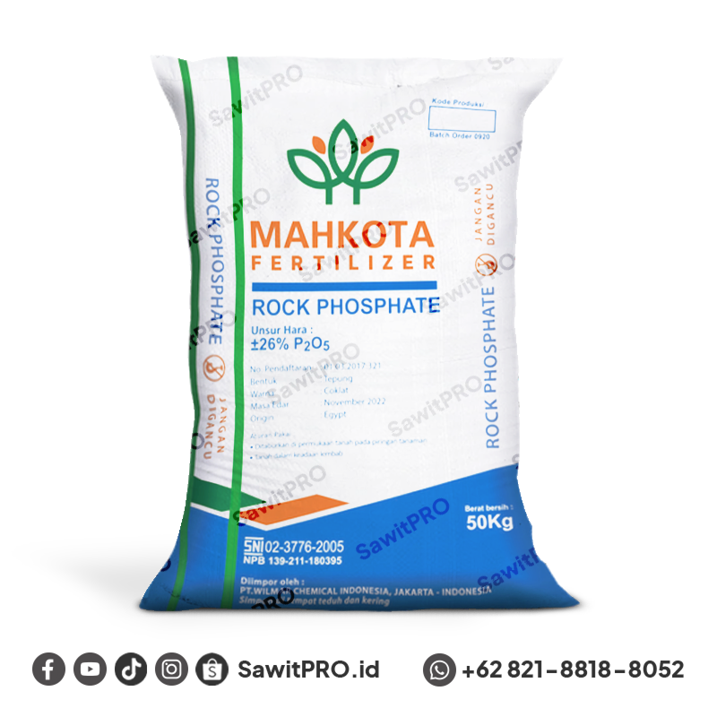 RP Mahkota 50kg - Egypt (Toko Keliling)