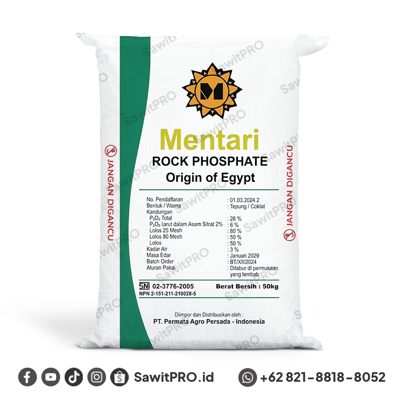 Pupuk RP Egypt Mentari 50kg