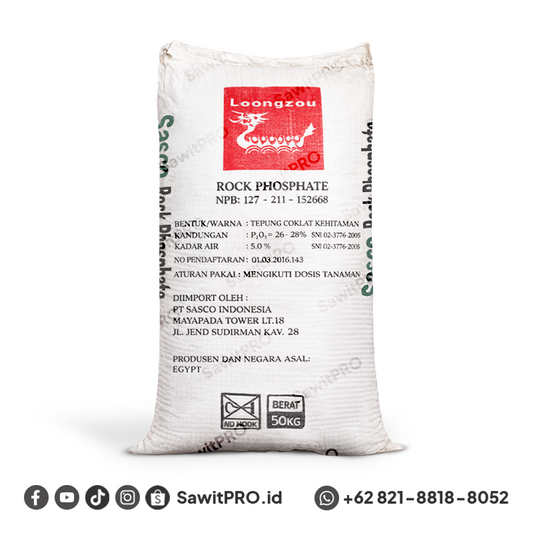 RP Sasco 50kg - Egypt