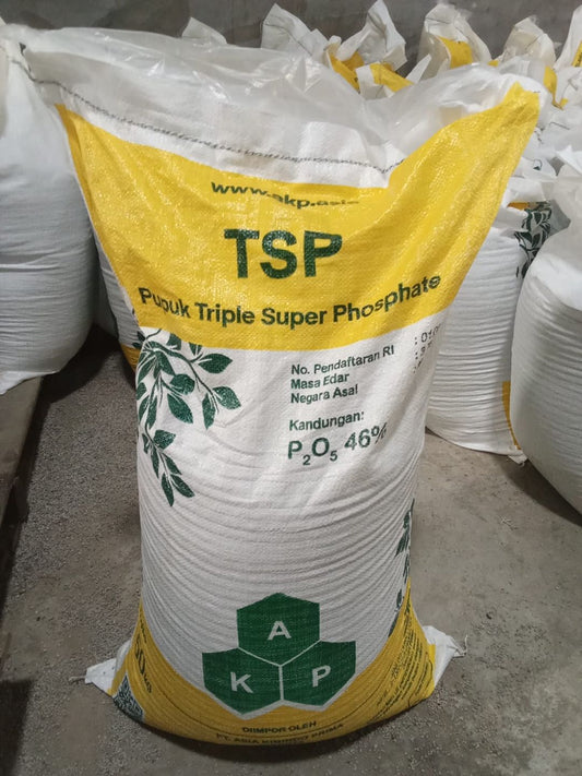 TSP AKP 50kg (GROSIR)
