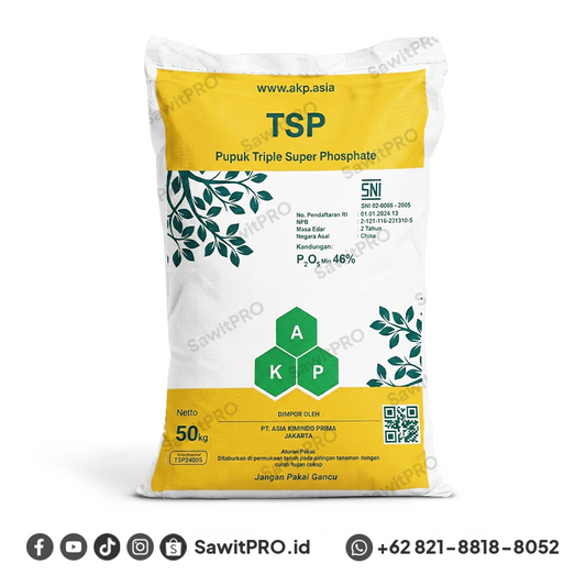 TSP AKP 50kg