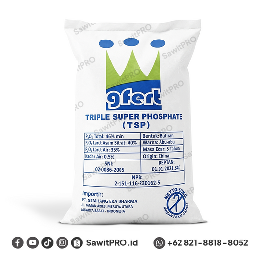 Pupuk TSP Gfert 50Kg (GROSIR)