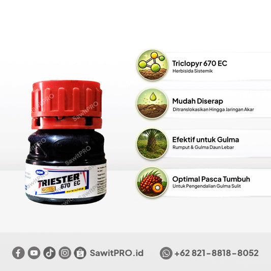 Triester 670 EC - 100ml