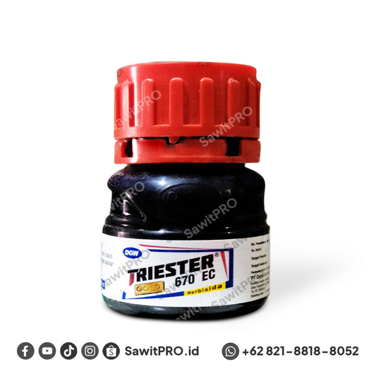 Triester 670 EC - 100ml