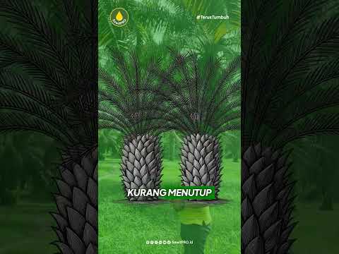 NPK Mahkota 13-8-27-4 0.5 B 50kg (Khusus Petani)